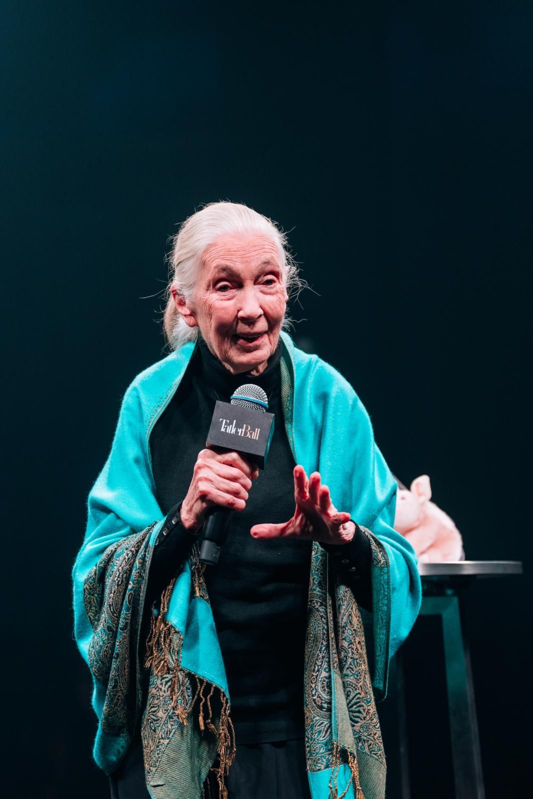 Jane Goodall  (Photo: Tatler Hong Kong / Patrick Leung)