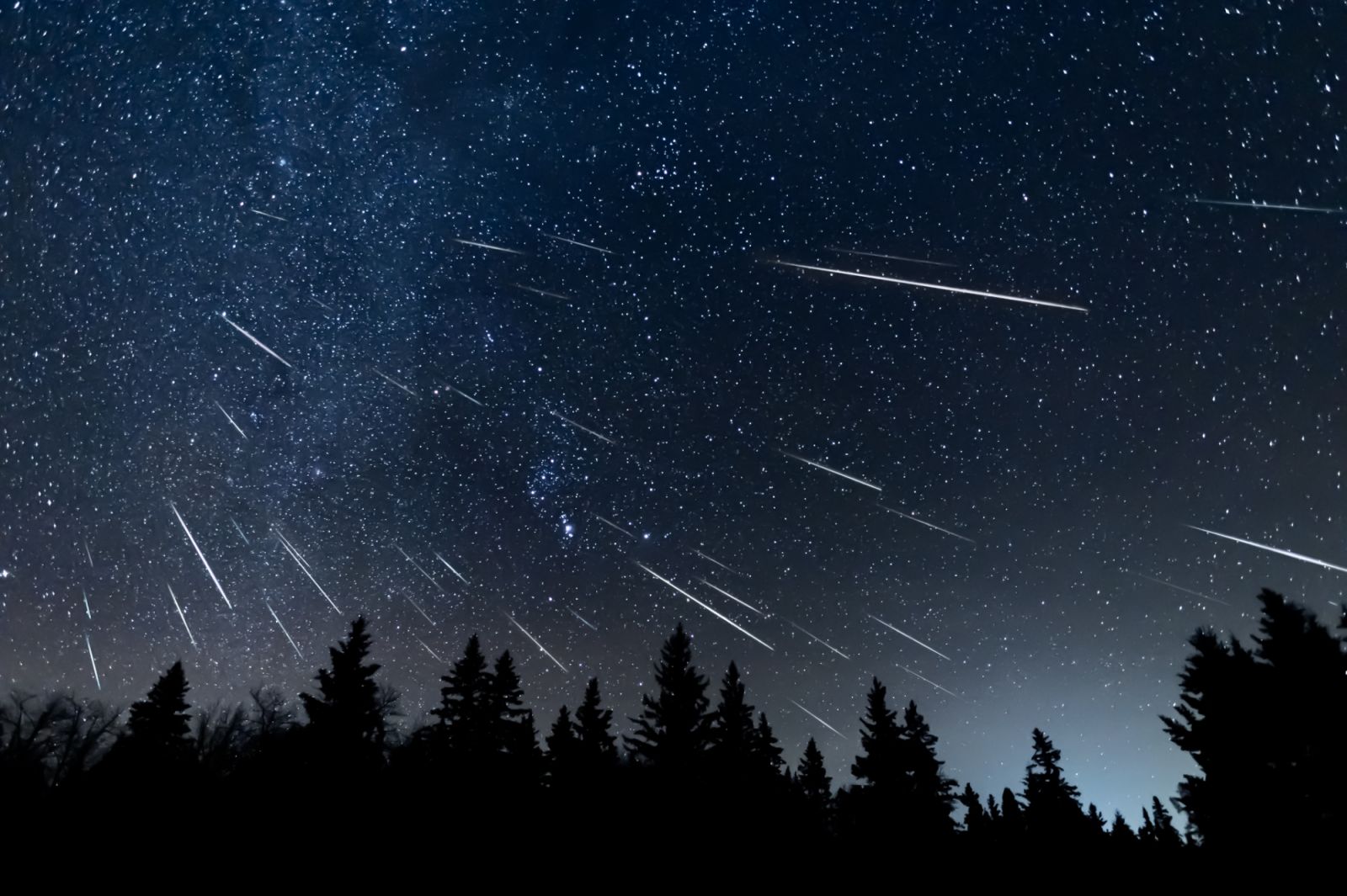 A composite photo created by combing 44 phots that have been oriented to match the star position and show how meteor showers originate from the same point relative to the stars. These meteors were part of the Geminids meteor shower. The midground is an evergreen forest as a silhouette.