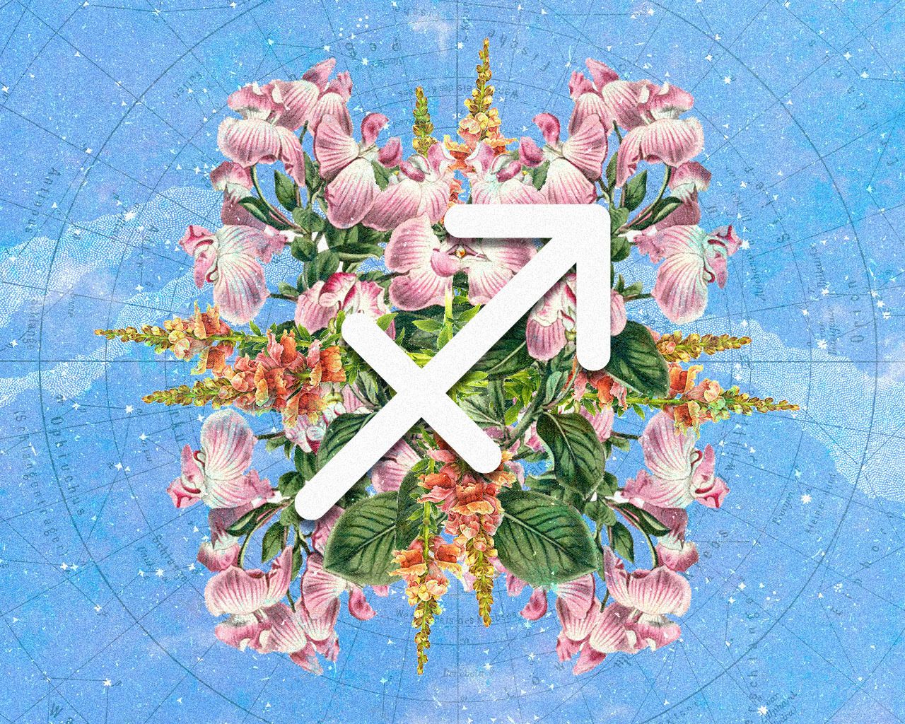Tatler’s weekly horoscope by Casey Chan