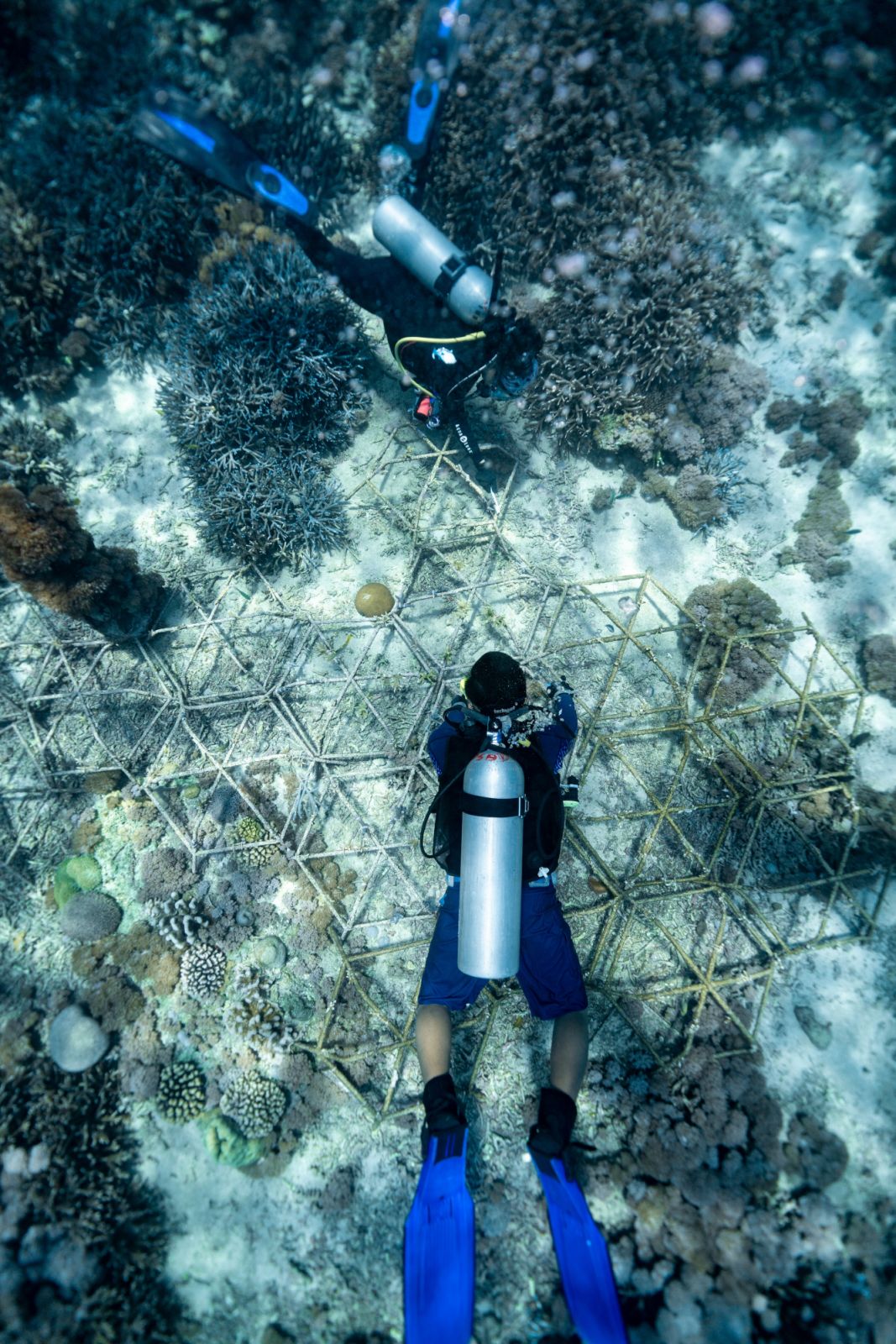 Coral Triangle Center team members Tabitha Rudang and Evi Nurul Ihsan use toothbrushes to clean algae off a structure previously planted within damaged or degraded coral reefs to aid restoration and regrowth.