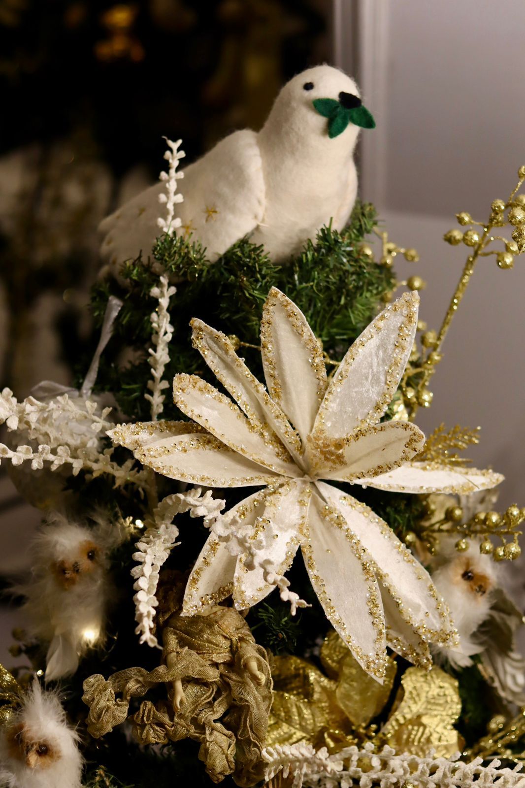 Julie Boschi’s white dove, which symbolises her family’s prayer for peace