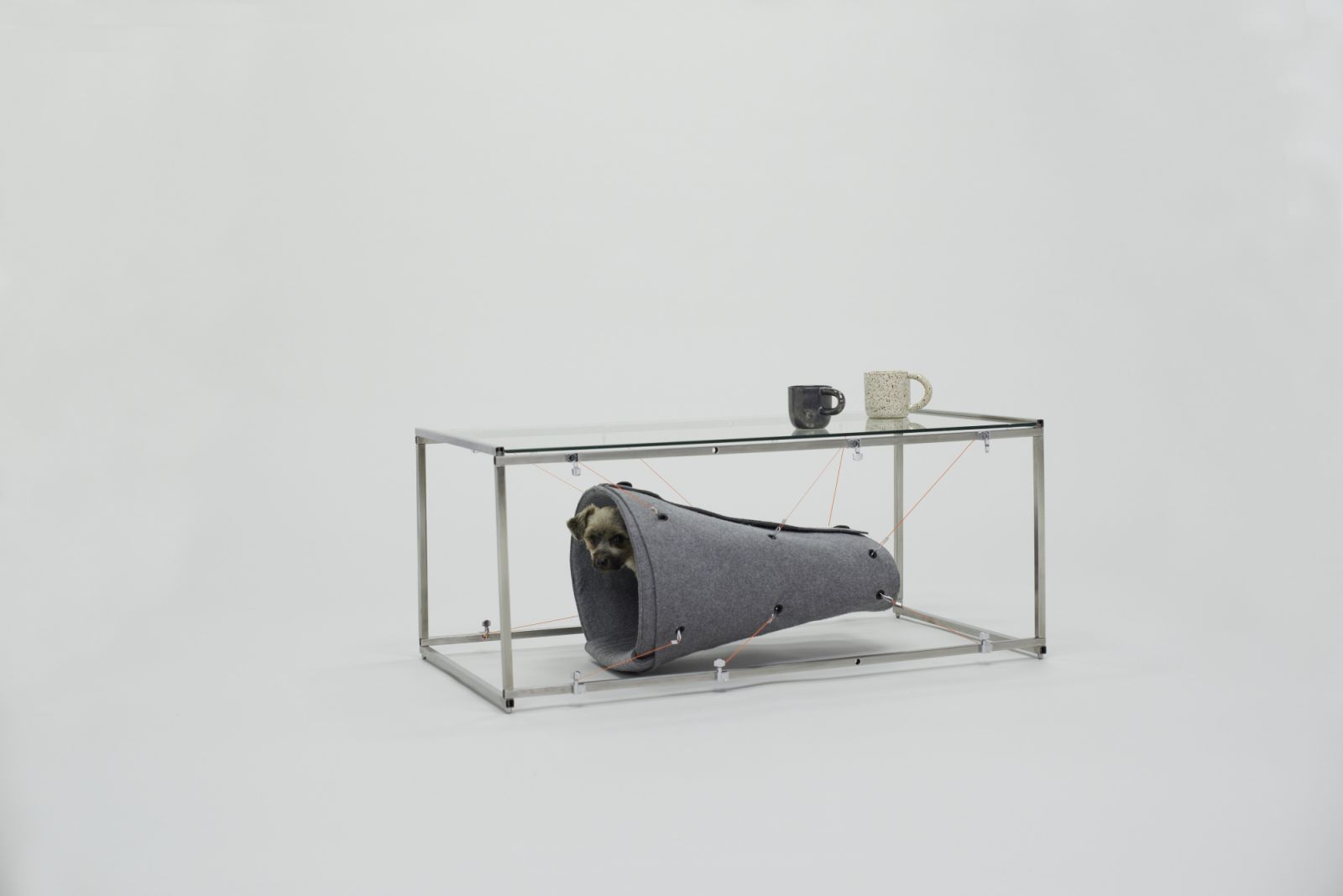 The dual-purpose micro-environment Cocoon, designed by São Paulo-based FGMF
