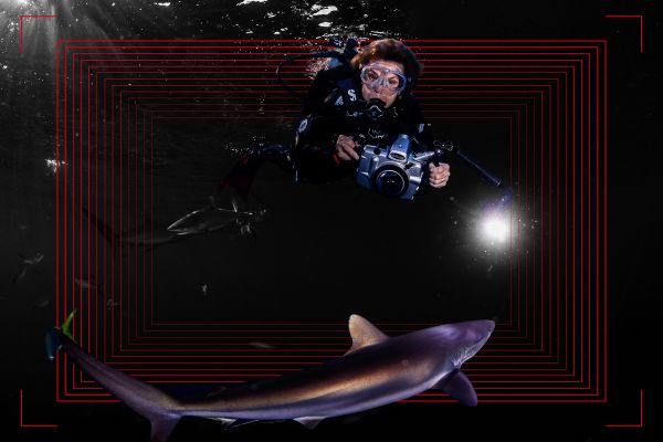 Dr Sylvia Earle on how science and storytelling can turn the tide for our blue planet