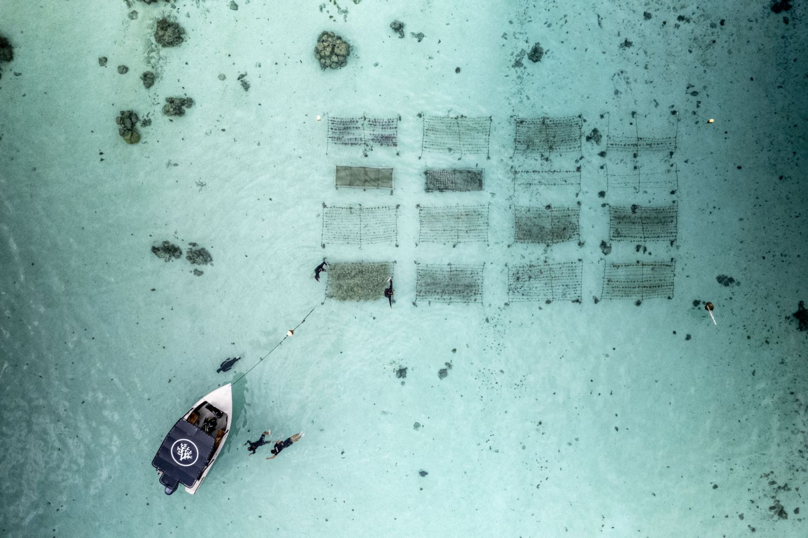 An aerial view of the Coral Gardeners team at a coral nursery in Mo'orea, French Polynesia.