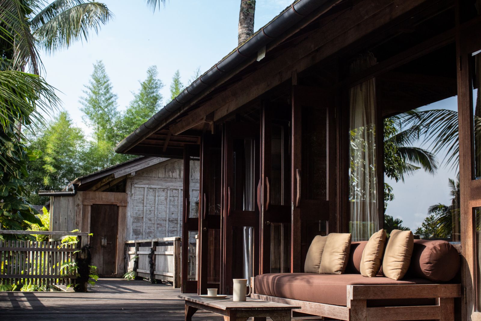The pool terrace opens into views of the ancient trees preserved on-site (Photo: Rumah Hujan)