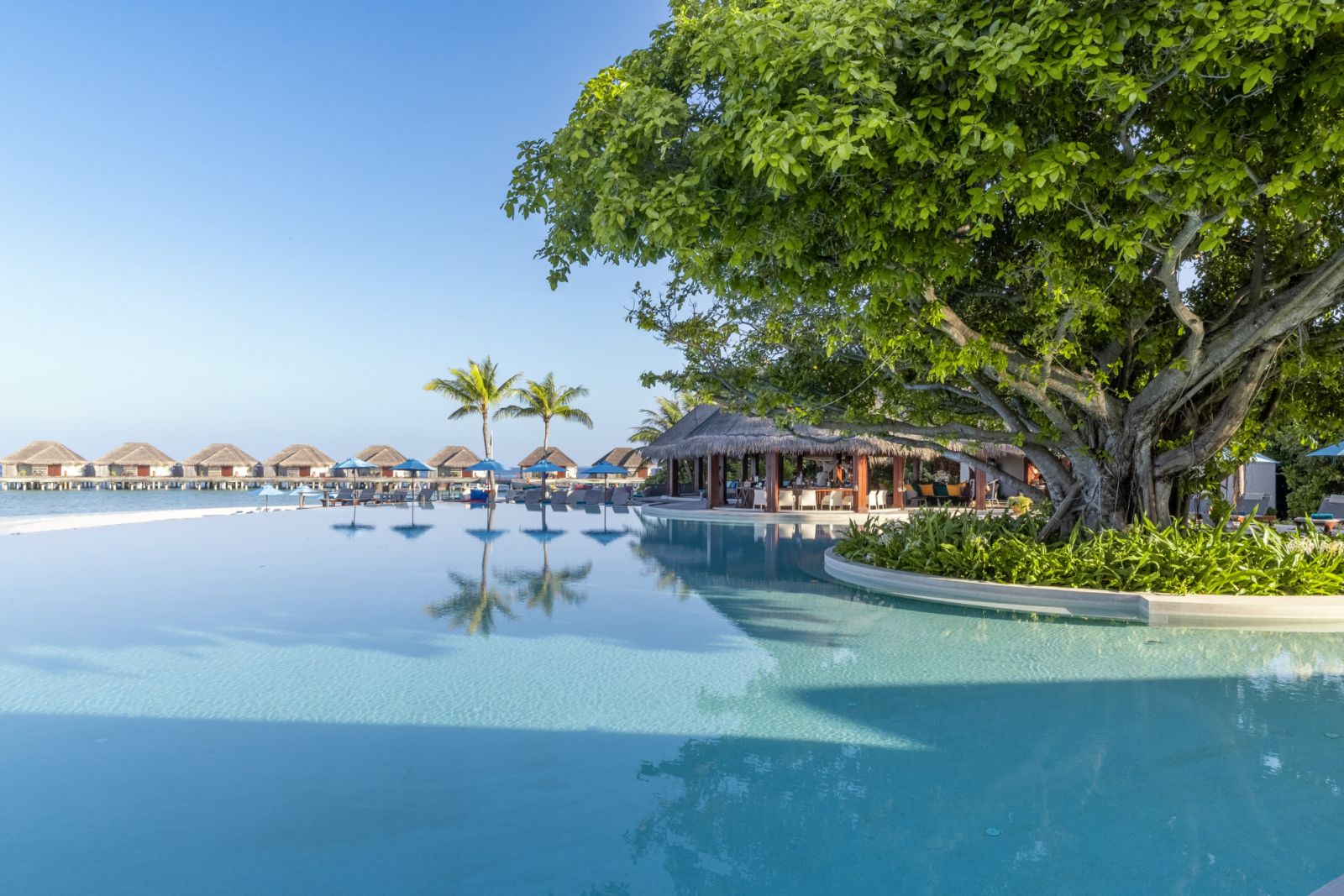บริเวณสระว่ายน้ำสุดกว้างแบบไร้ขอบ  (ภาพ: Dusit Thani Maldives)