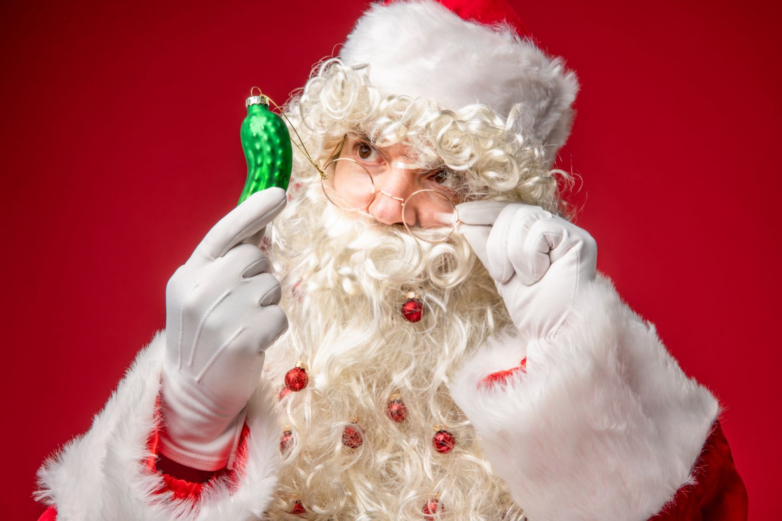 Funny Santa Claus holding Christmas pickle. Christmas baubles decorated beard.
