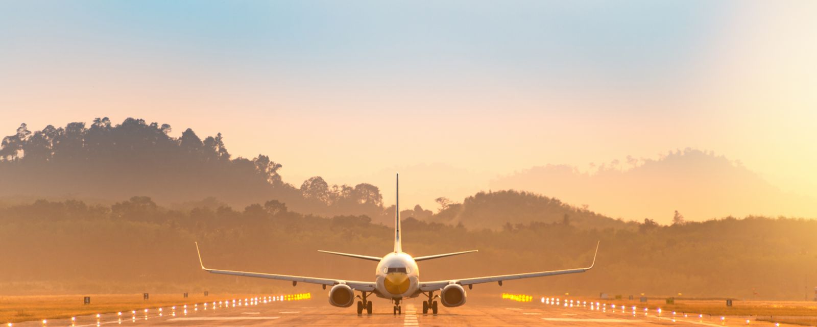 Passenger jet airplane before landing in the early morning in asia airport background