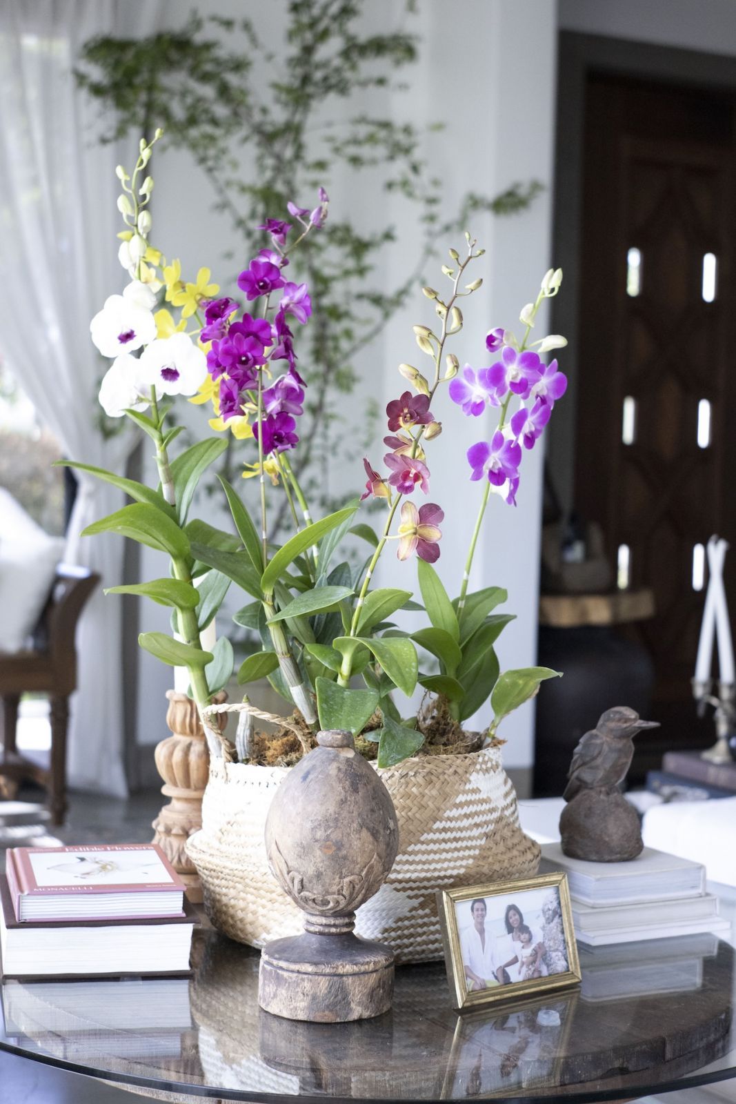 Blooming orchids on display in a Laguna home