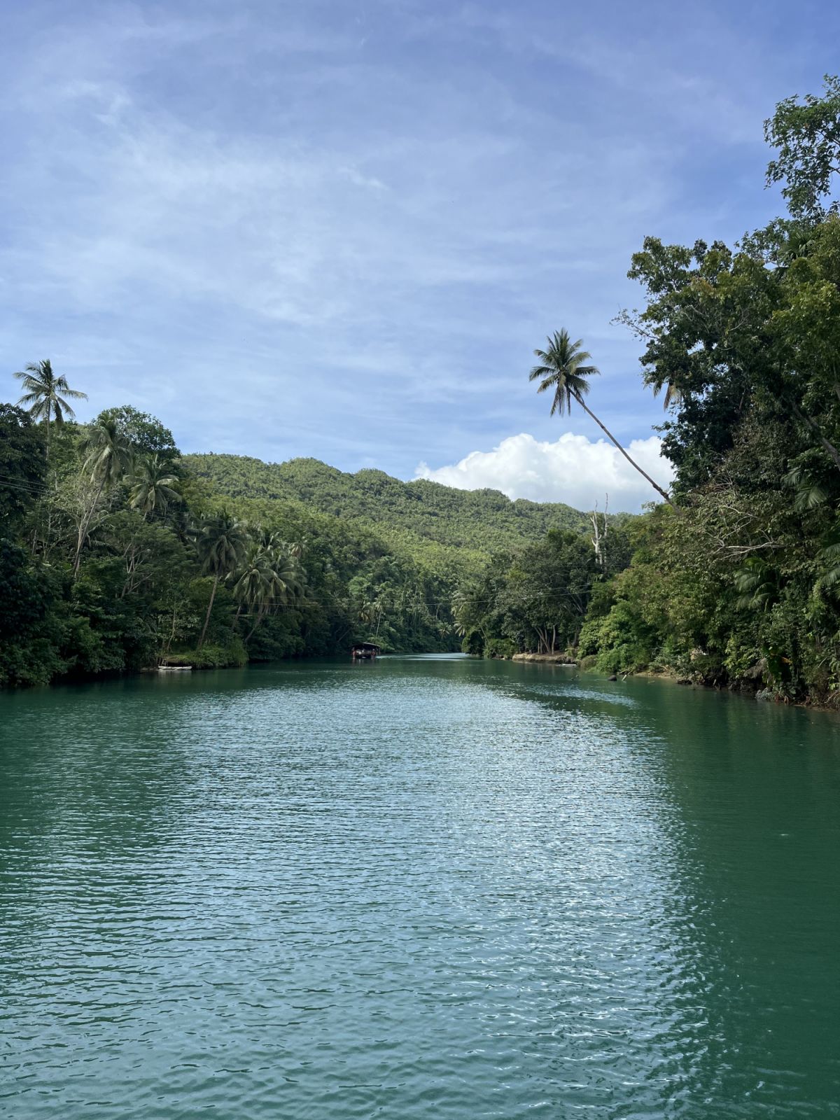 Loboc River aboard the floating restaurant