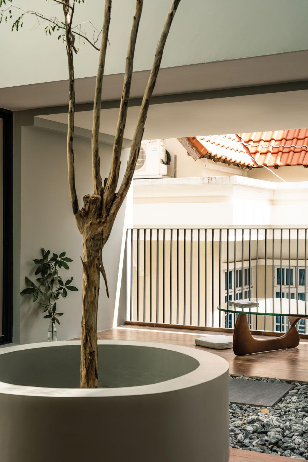 Plants bring life and personality to the home