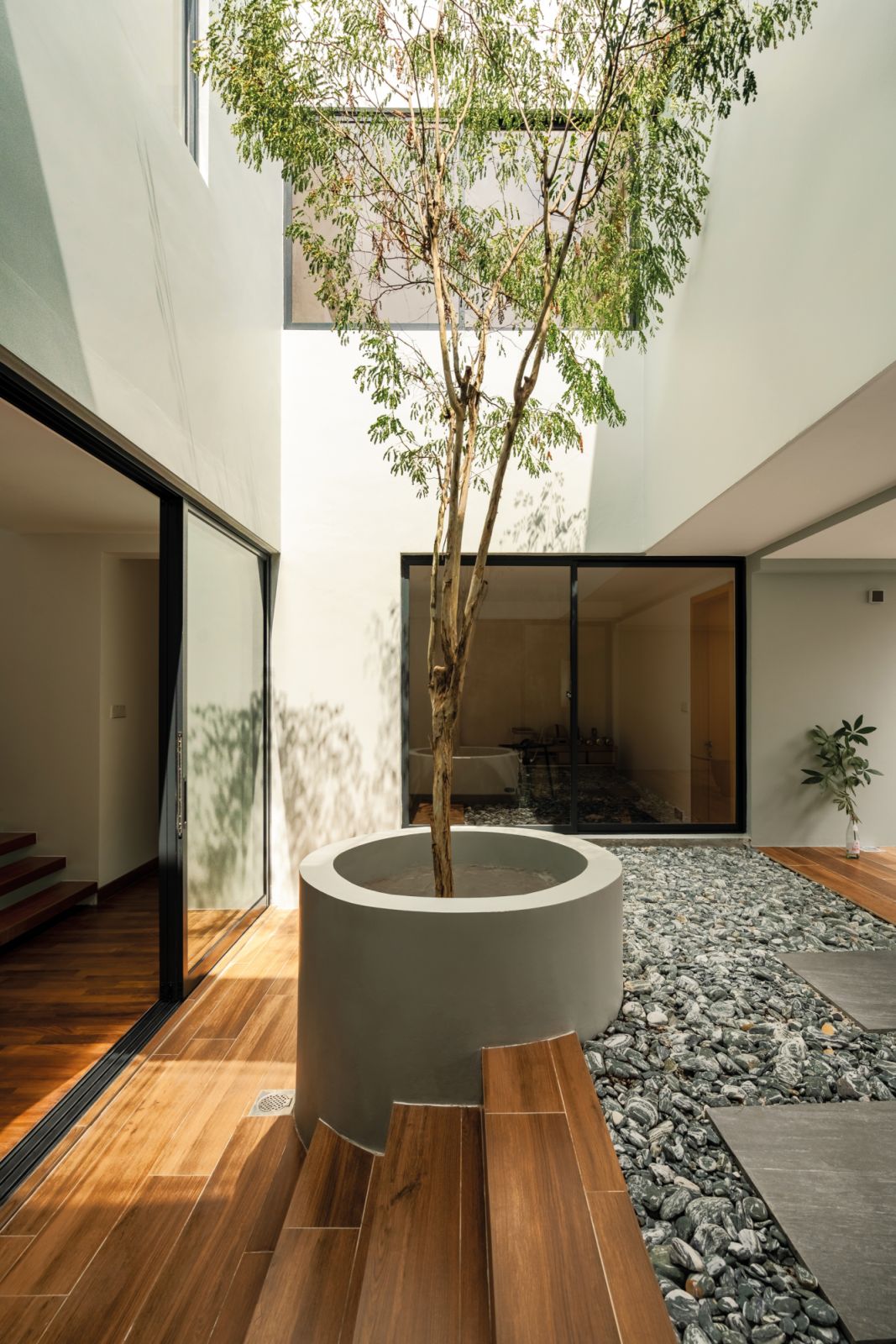A mature tree presides over the courtyard