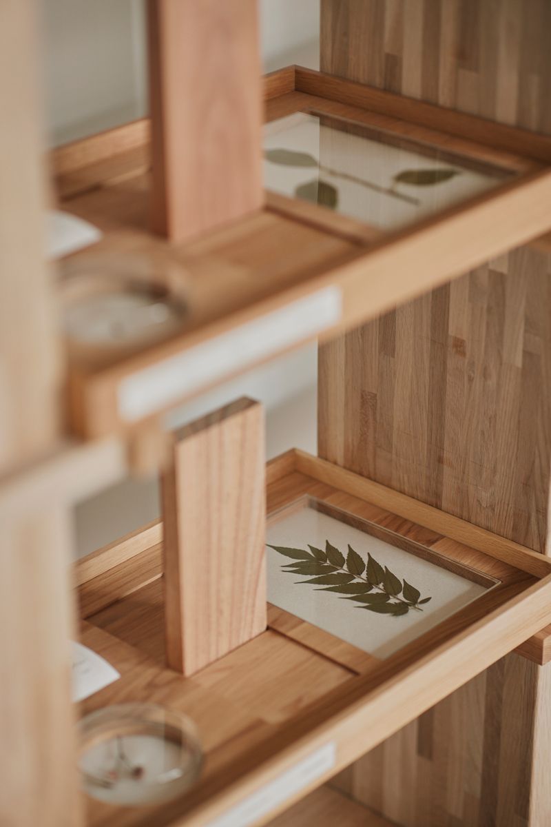 The wood samples includes pressed leaf specimens
