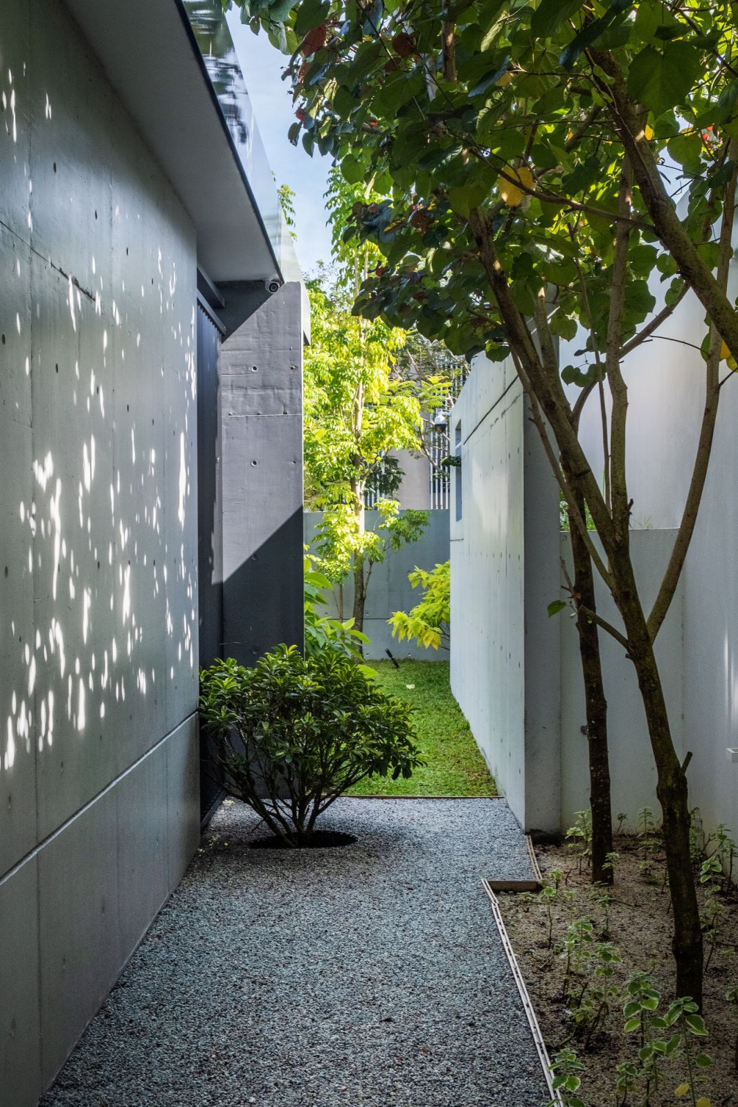Sunlight creates decorative shadows on the concrete