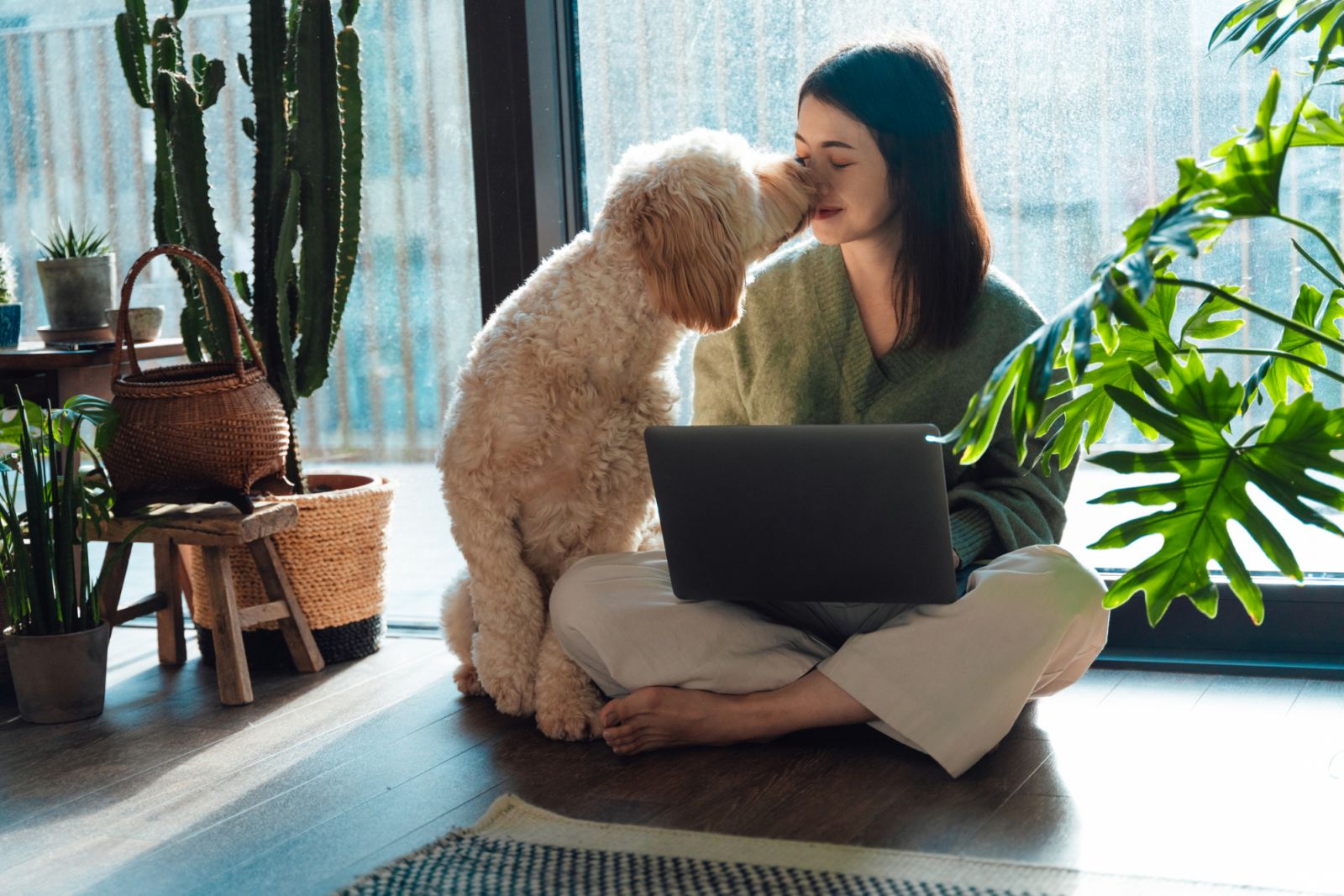 Young Asian woman kissing with her dog while using laptop, sitting on the floor, relaxing at home on a sunny afternoon. Concept of work-life balance. Lifestyle and technology.