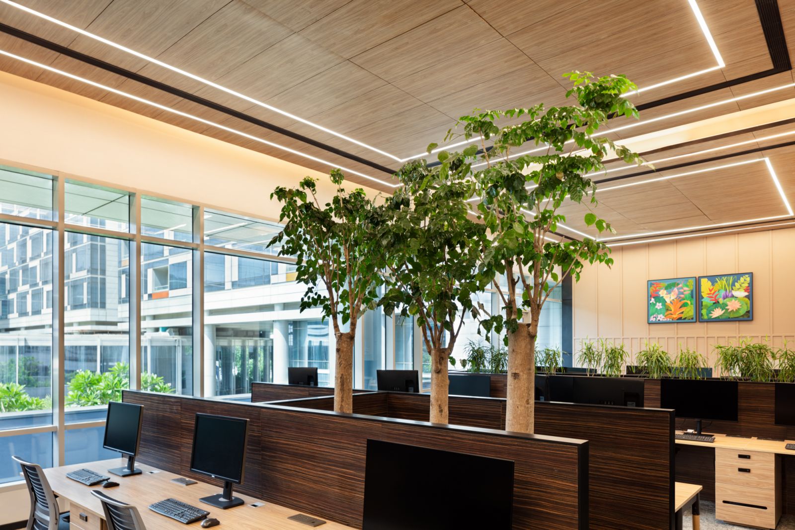 Studio IAAD brings nature indoors with biophilic design (Photo: Studio IAAD)