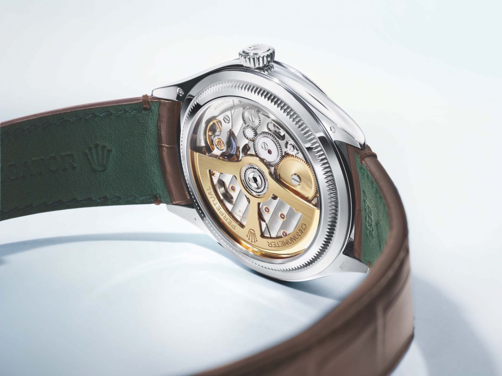 Back case of the Perpetual 1908