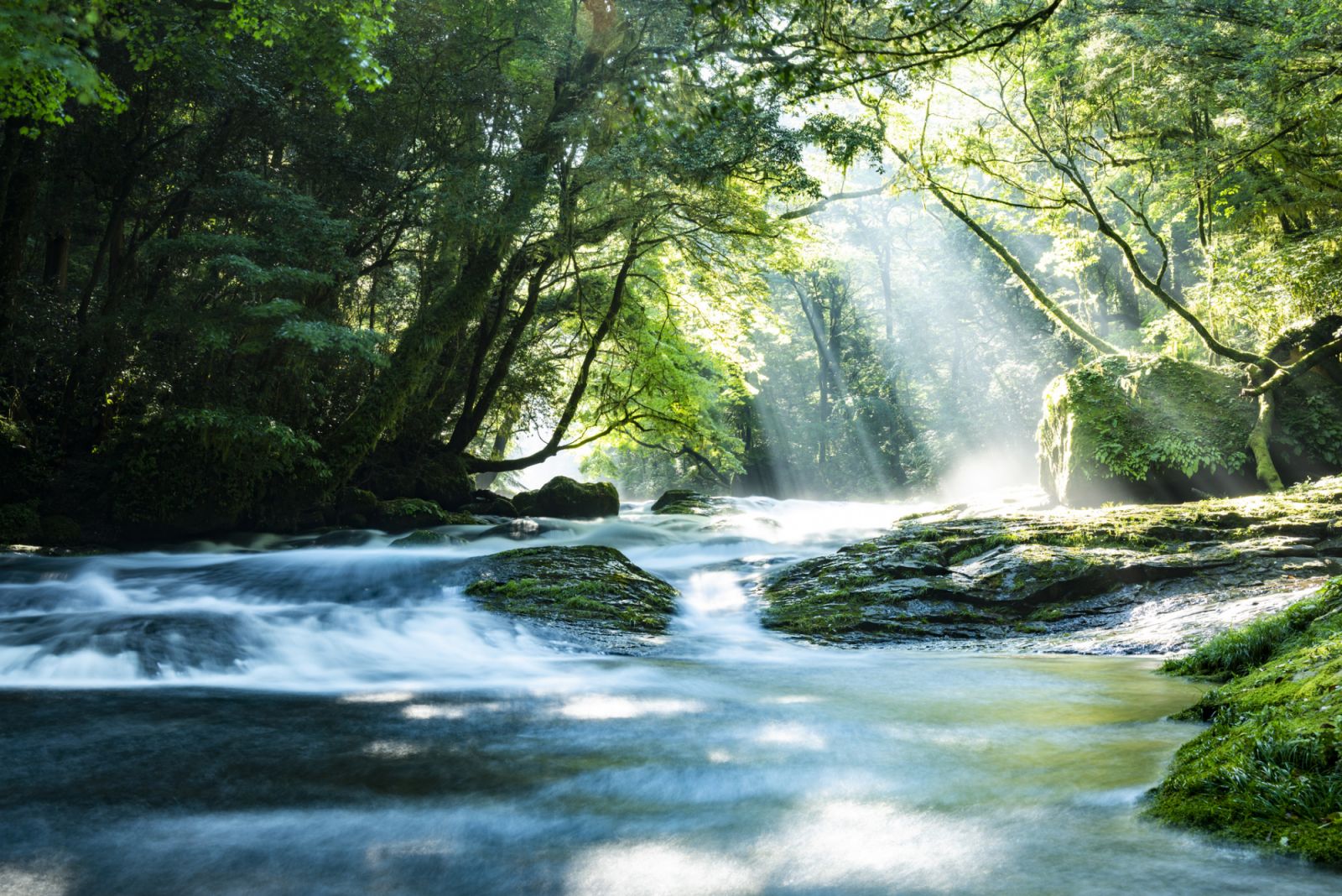Kikuchi Valley, Kumamoto Japan.Kusasenri, Aso Kumamoto Japan.Kusasenri, Aso Kumamoto Japan.