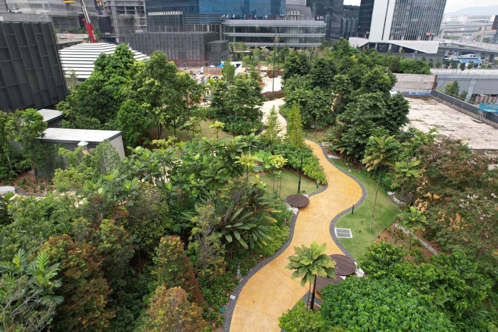 Expanding tree canopies and understory vegetation with comprehensive ground coverage