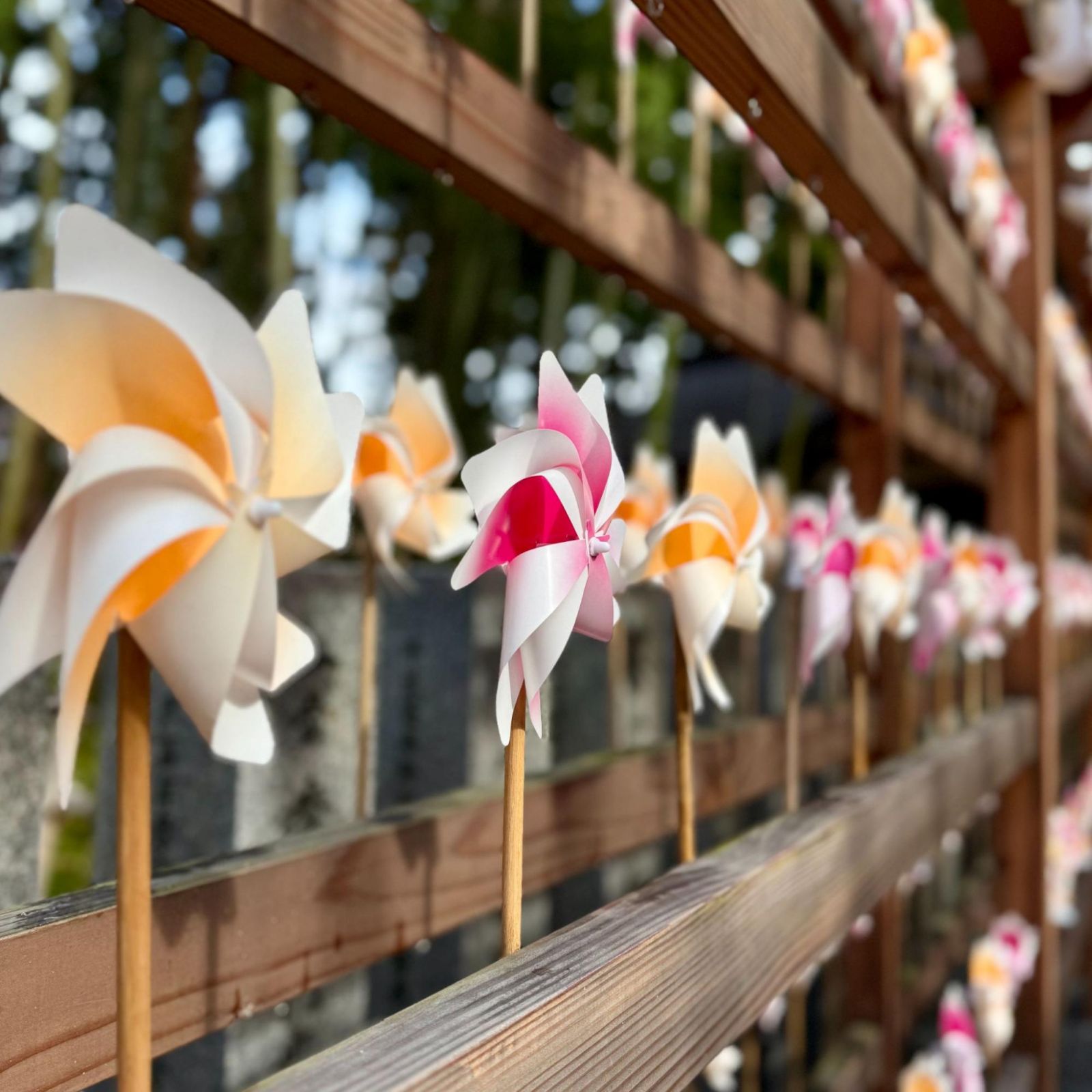 Kaza-hana in autumn at Nanyo Kumano Taisha Shrine