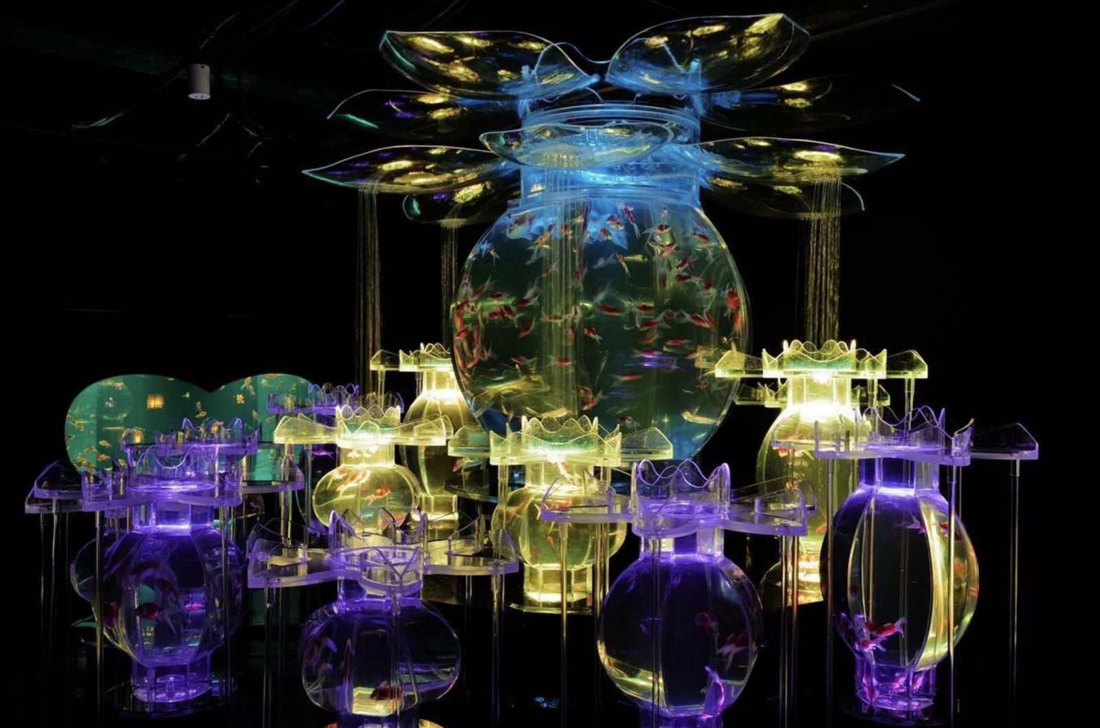 ATT 4 Fun:「Art Aquarium 金魚藝術展」
