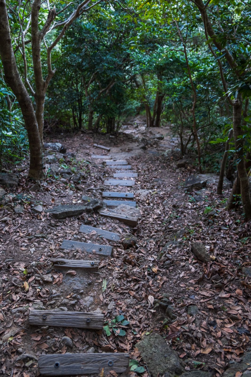 A hiking trail as seen while descending from Kowloon peak and suicide cliff on December 1, 2020 in Hong Kong.