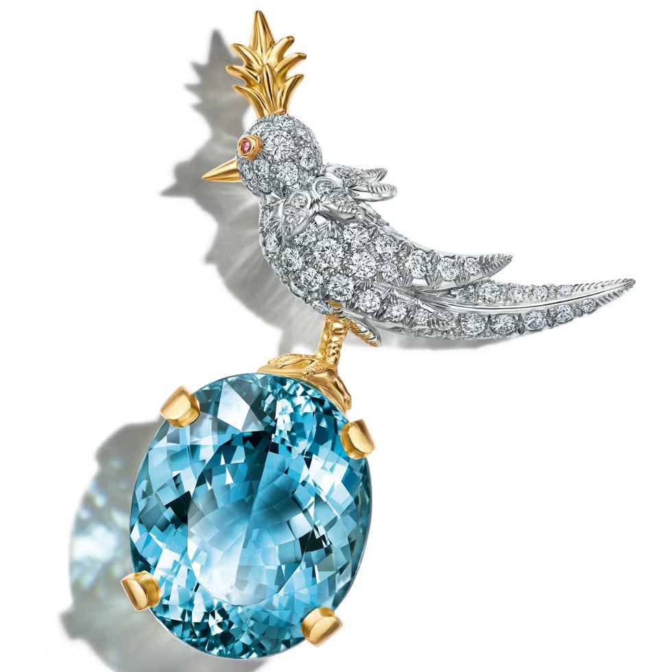 Tiffany Jean Schlumberger海水藍寶石上鳥胸針(Photo: Tiffany & Co.)