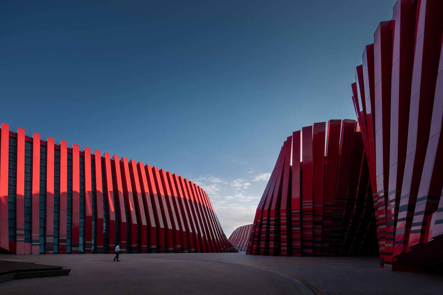 The red colouration responds dynamically to the changing environmental conditions (Photo: Instagram / @designskill_org)
