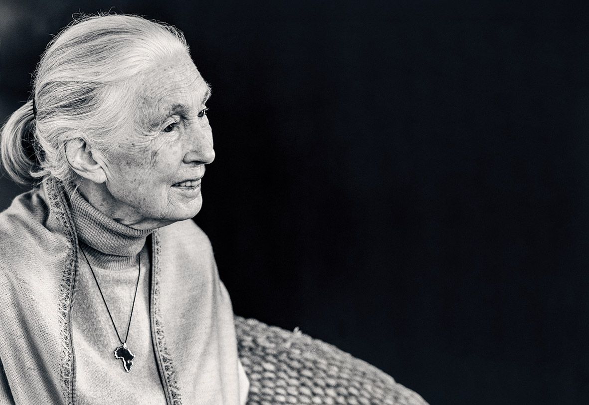 World-renowned conservationist and US Presidential Medal of Freedom recipient Jane Goodall