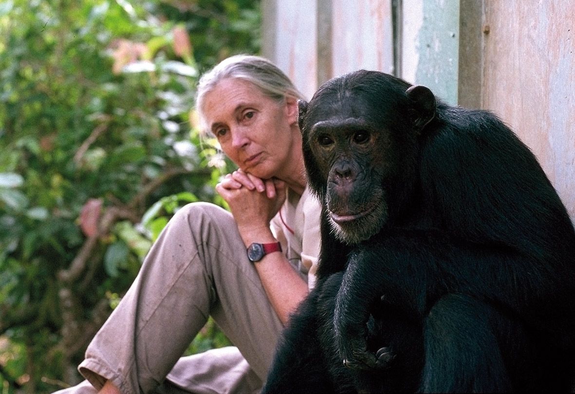 Jane Goodall’s enduring mission to protect the planet | Tatler Asia
