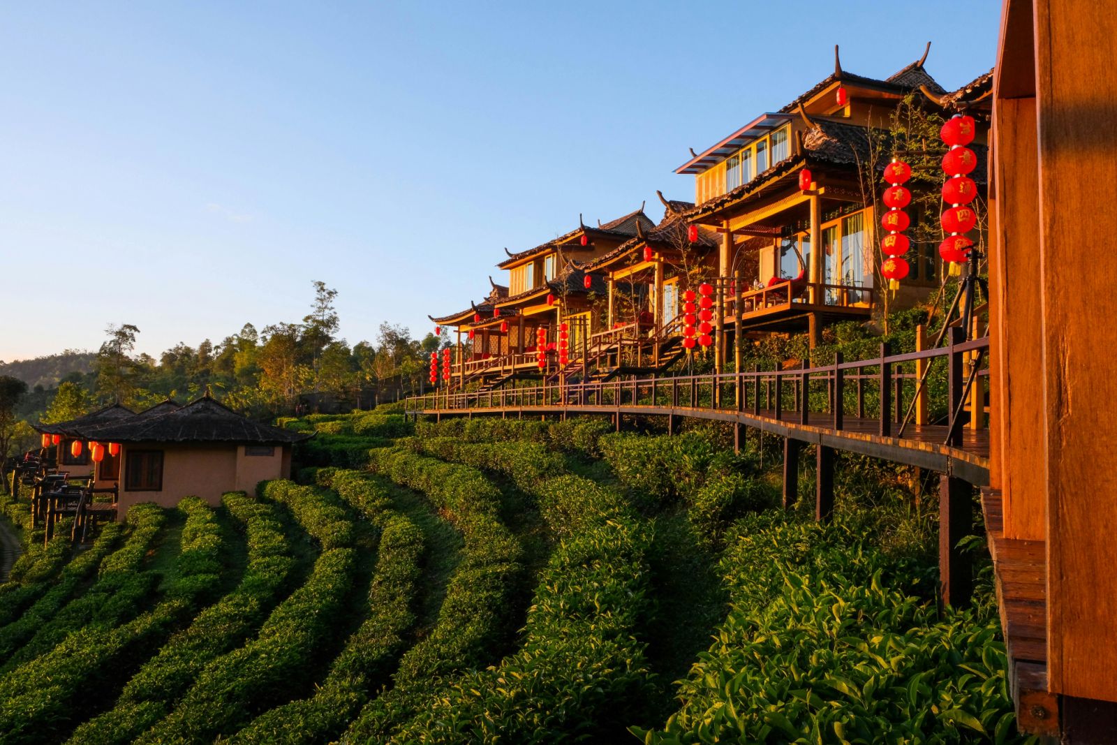 Traditional Thai architecture at sunrise in Chiang Mai (Photo: Pexels)