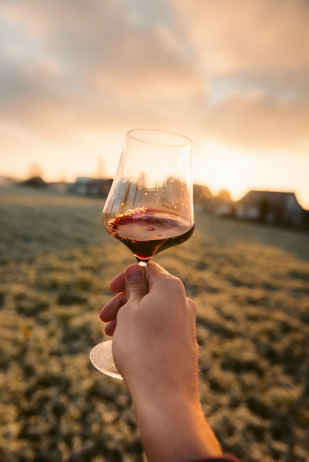 Wine 101 Alex Lichaytoo - Marcel Gross / Unsplash
