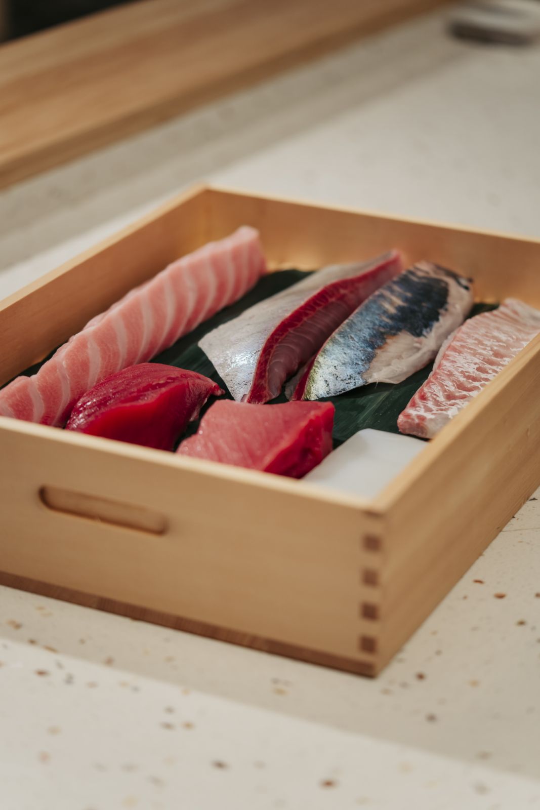 Sushi Qubey (@sushiqubey)