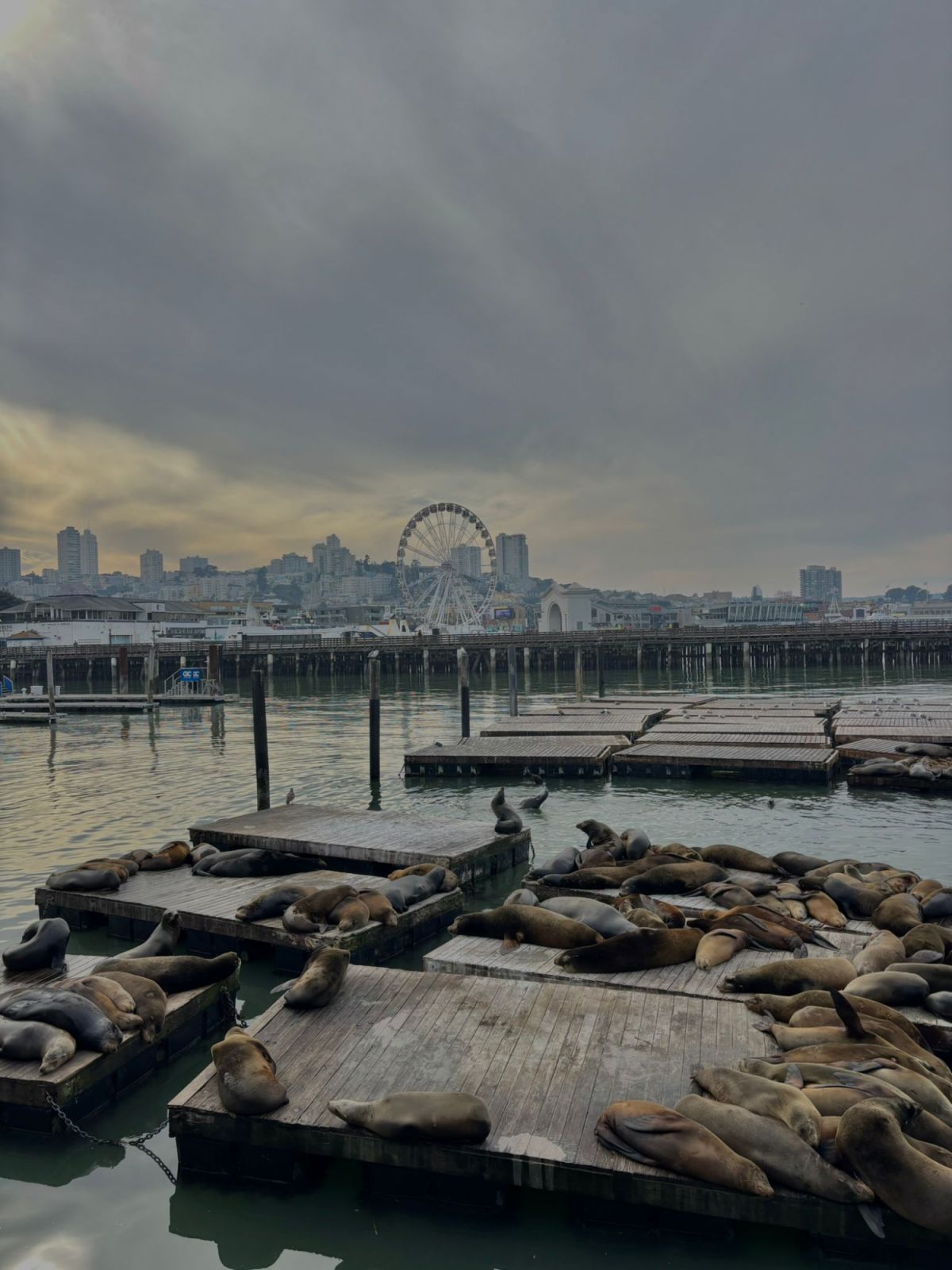 San Francisco