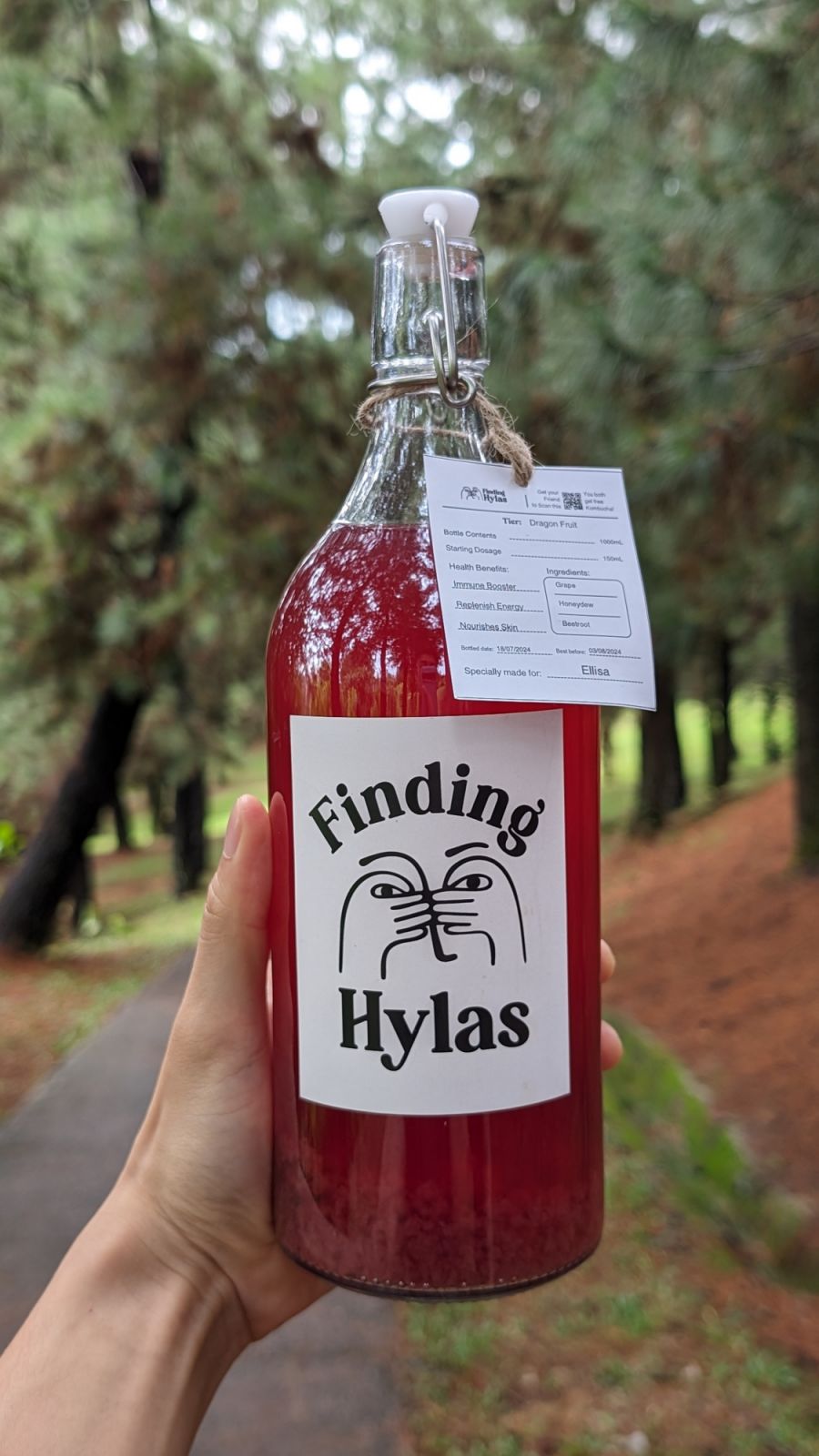 Finding Hylas Kombucha