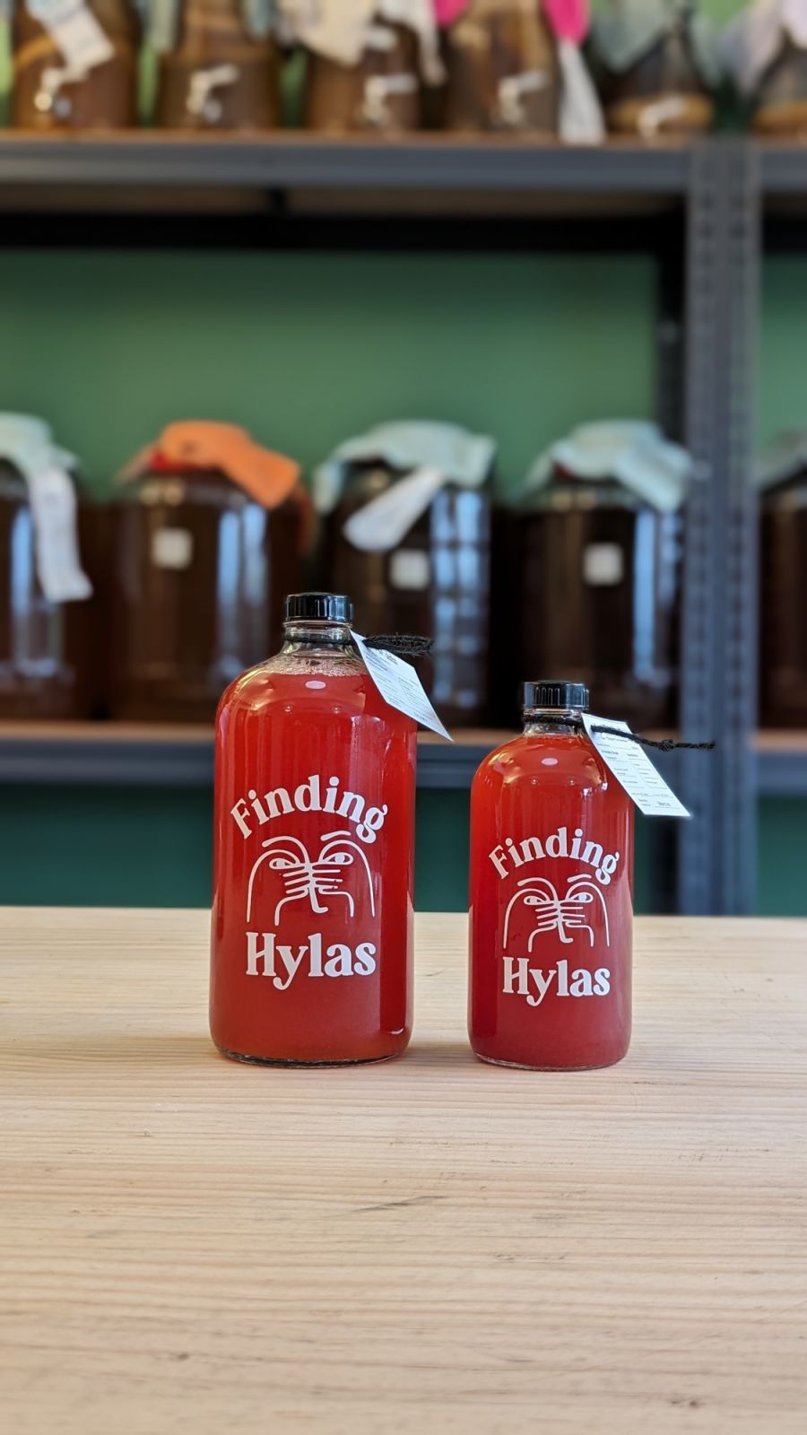 Finding Hylas Kombucha