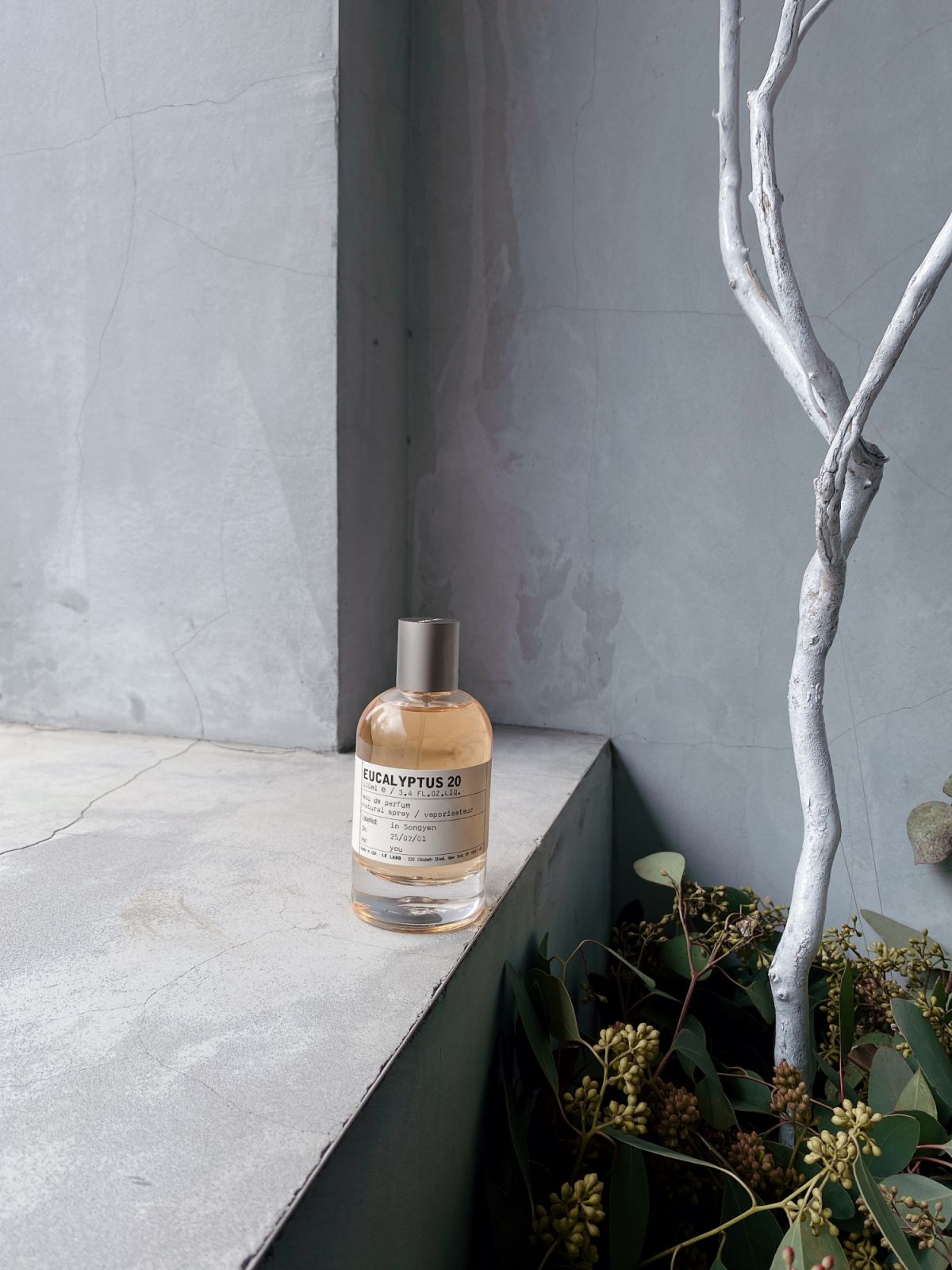 Le Labo 2025全新香氛：Eucalyptus 20 桉樹香開箱介紹、價格、ml數