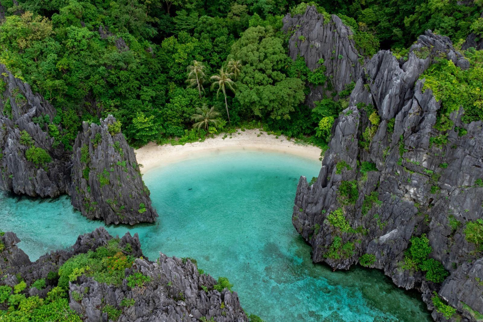 Secret Beach, El Nido (Photo: Unsplash/Mario Von Rotz)