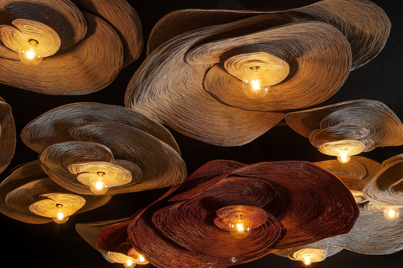 Tadeco Home's light fixtures