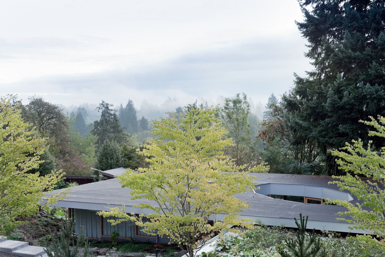 Deciduous trees providing the home with ventilation and shade through the seasons