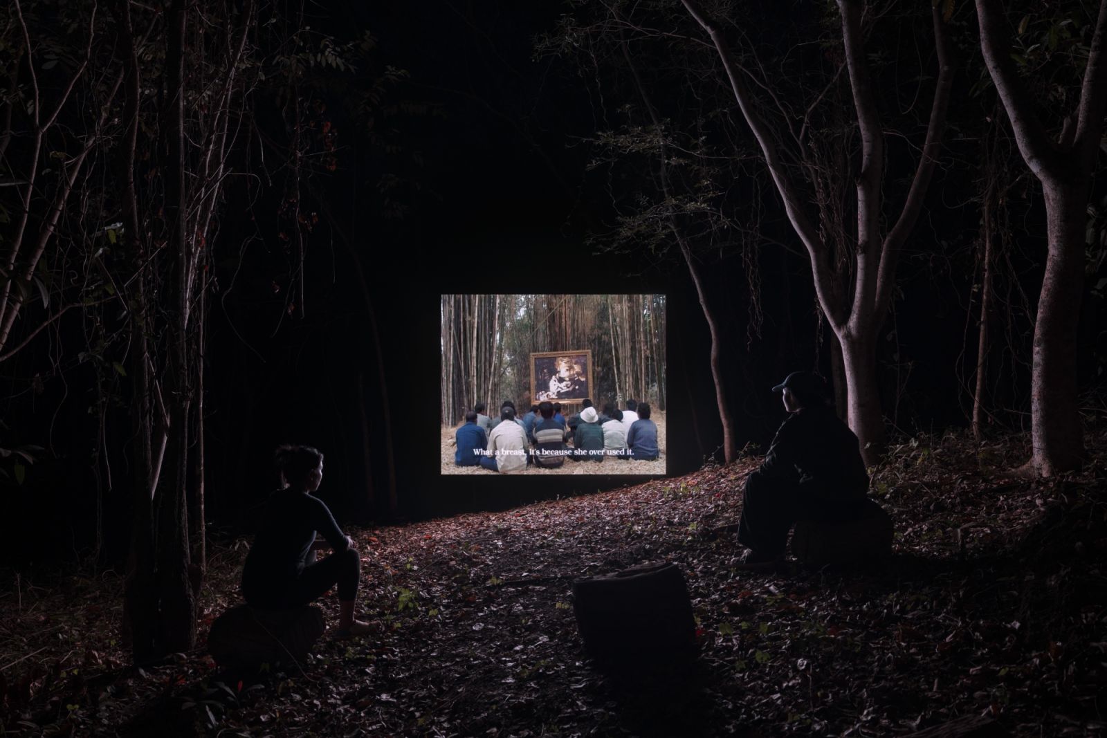 Khao Yai Art Forest; Thailand; December 2024