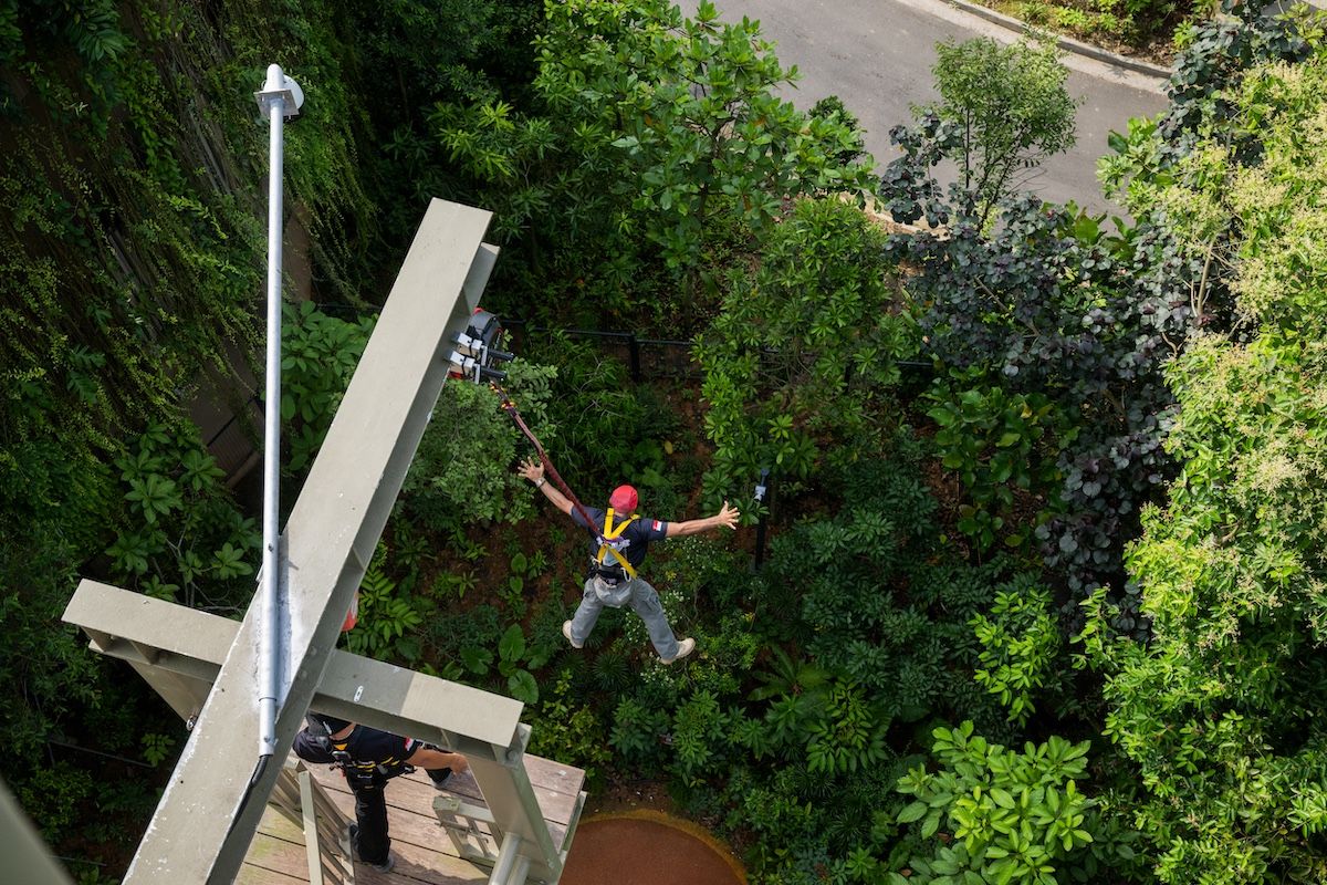 The Canopy Jump