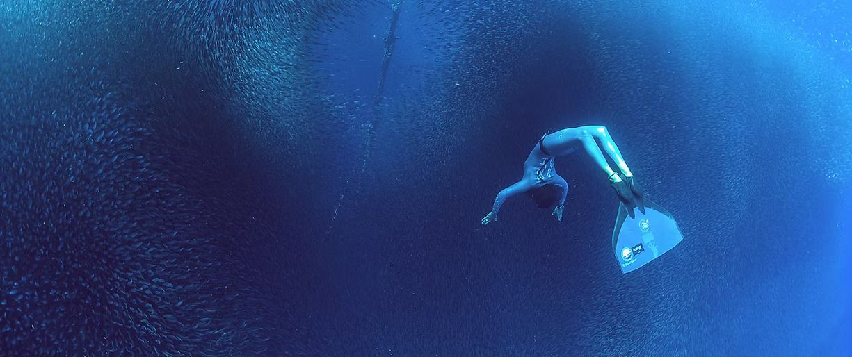 Freediving with the Sardine Run in Moalboal, Cebu (Photo courtesy of Freediving Planet)