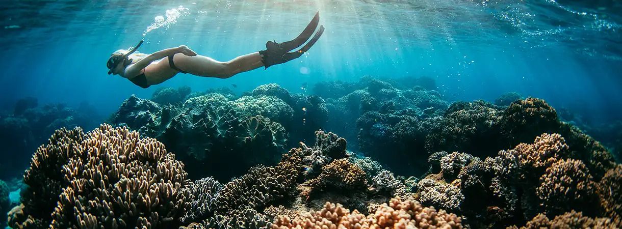 Freediving at Apo Island, Negros Occidental (Photo courtesy of Atmosphere Resorts)