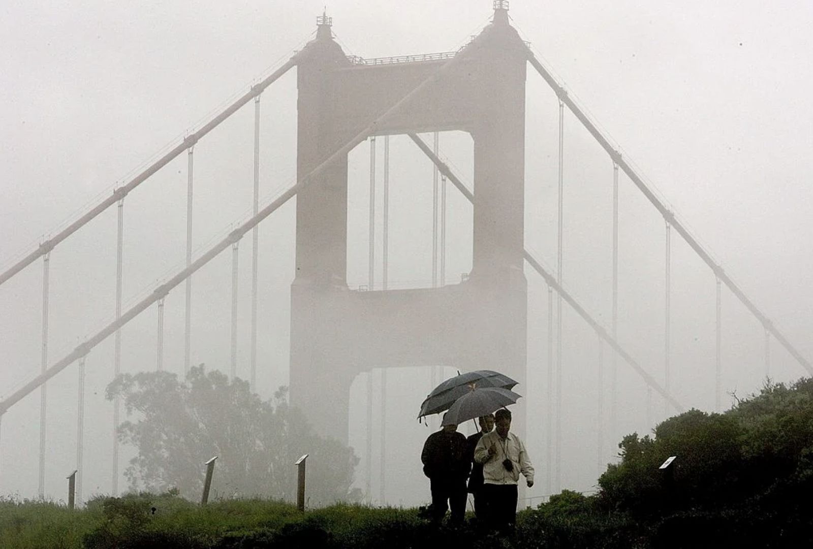 雨水意味著春天來臨，春風送暖細菌、病毒易隨風傳播，故春季傳染病常易暴發流行感冒。（Photo: Getty Images）