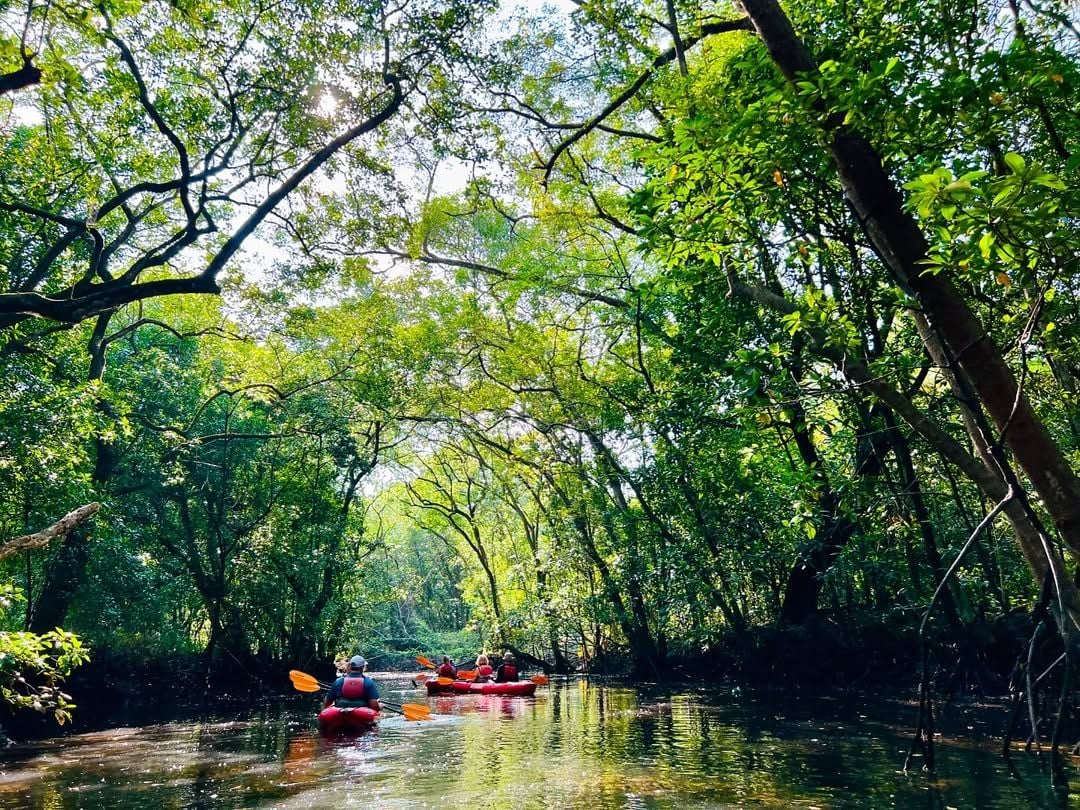 Kayakasia’s Khatib Bongsu trail (Photo: Instagram / @Kayakasia.sg)