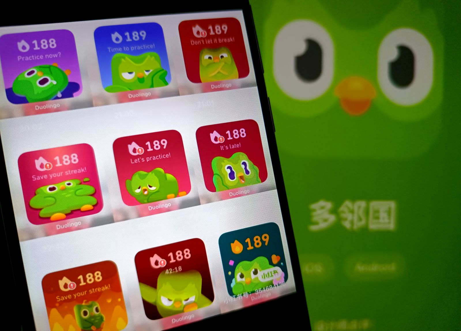 SUQIAN, CHINA - JANUARY 17, 2025 - A Duolingo LOGO is displayed on a smartphone in Suqian, Jiangsu province, China, January 17, 2025. (Photo credit should read CFOTO/Future Publishing via Getty Images)