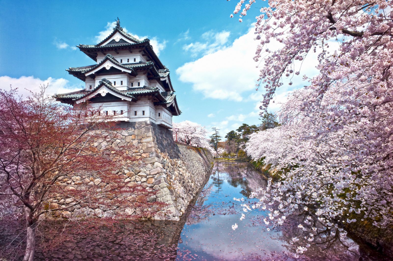 Castle in Hirosaki, Aomori.