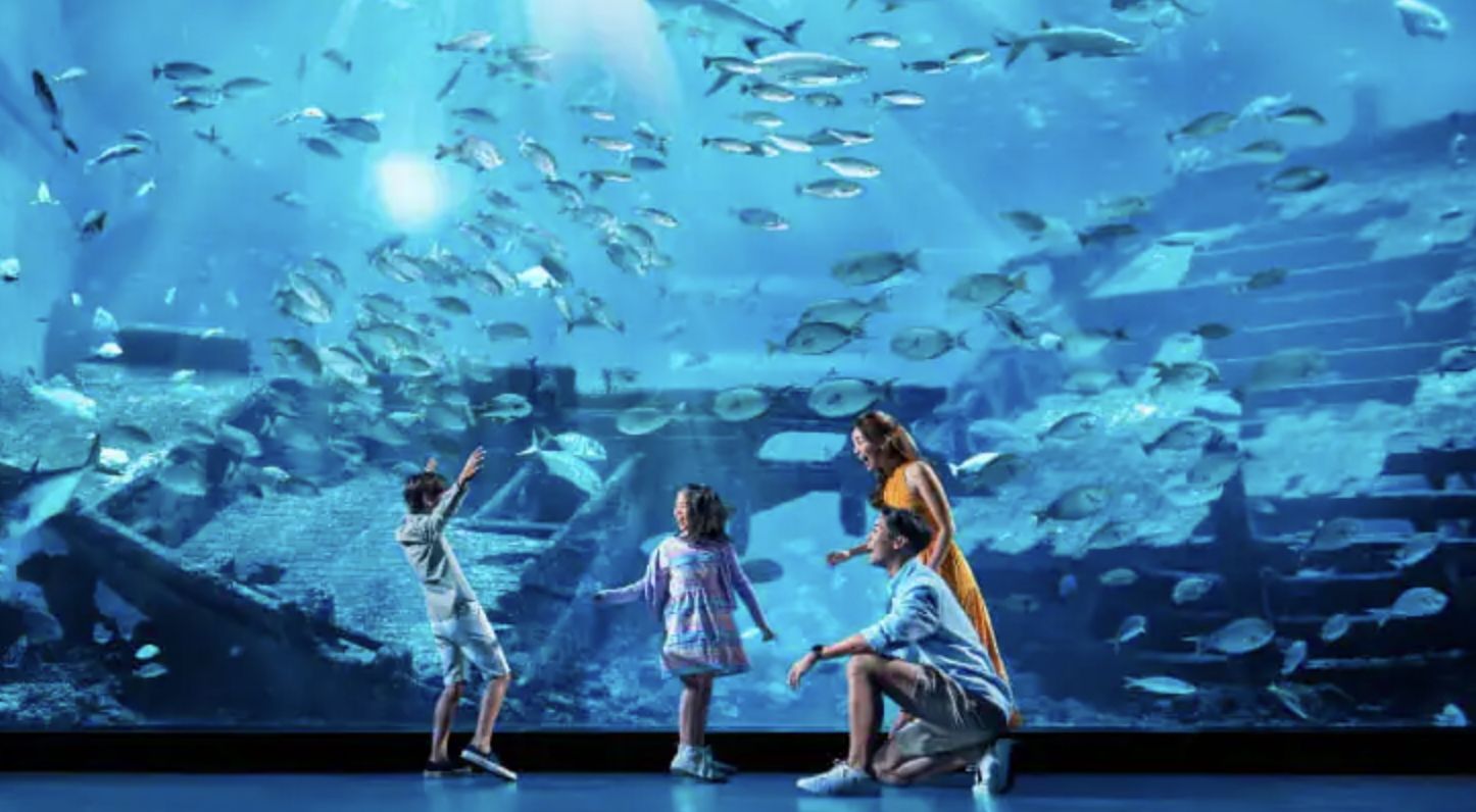 全球最大的水族館之一:S.E.A. 海洋館
