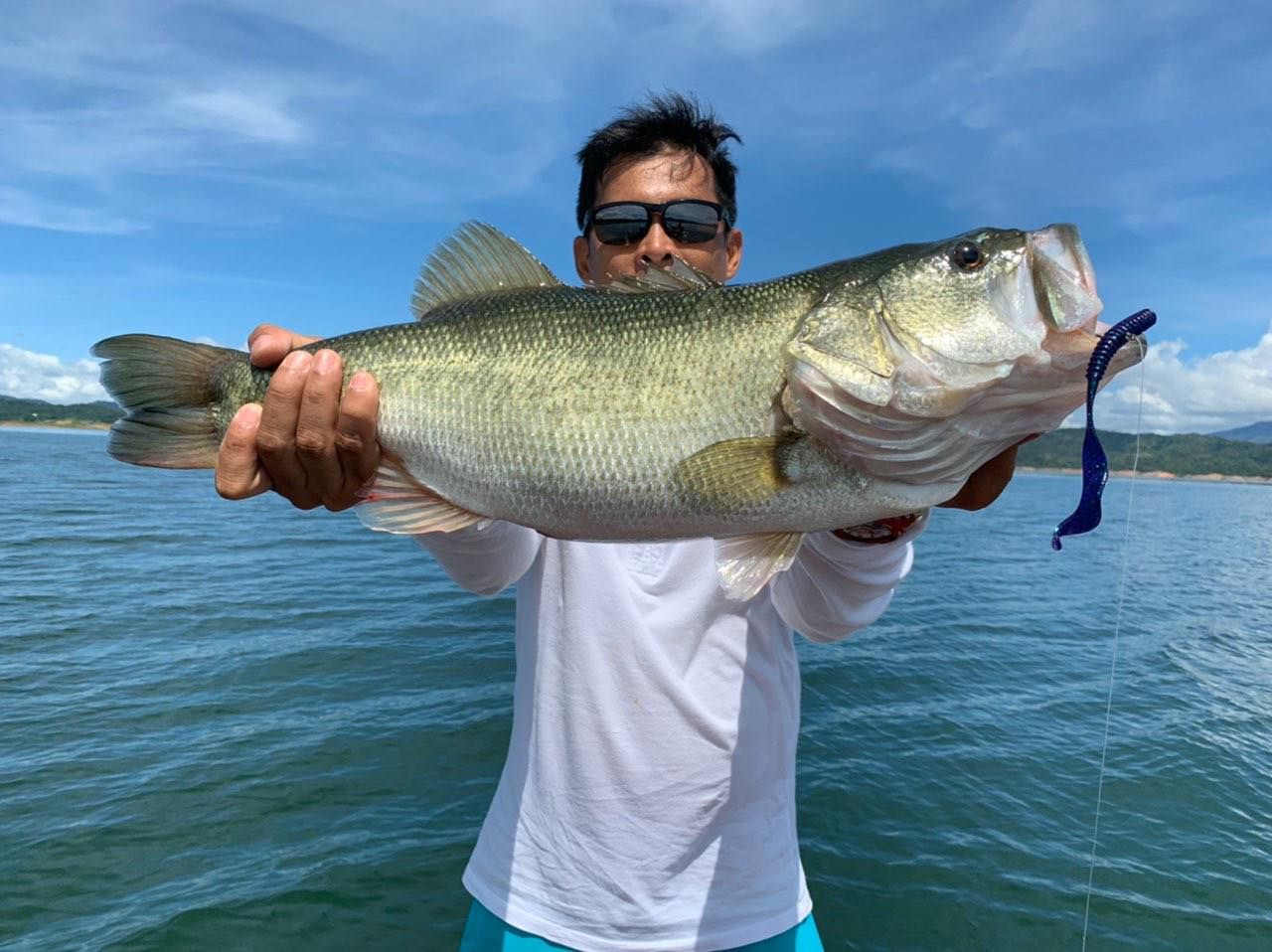 A largemouth bass caught in Pantabangan Lake, Nueva Ecija (Photo: Facebook.com/PantaBass)